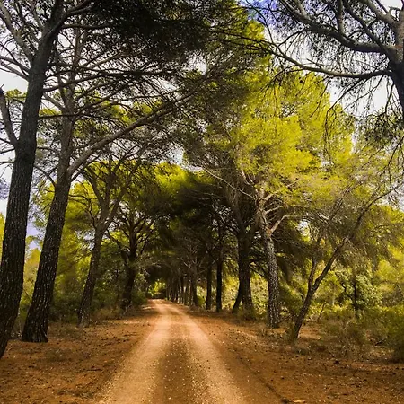 Casa rural Monte Higueras *